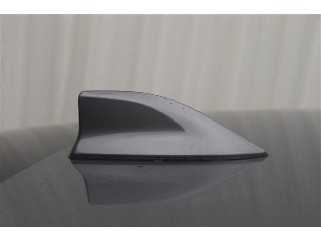 �y�h���t�B���A���e�i�z�X�|�[�e�B�ŃJ�b�R�C�C��