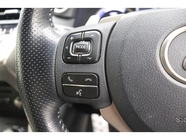 NX NX300h Fスポーツ 記録簿 盗難防止システム アルミ 電動シート Bカメラ ABS パワーステアリング キーフリー LEDライト パワーウィンドウ オートエアコン ドライブレコーダー 横滑り防止機能 ETC車載器(11枚目)