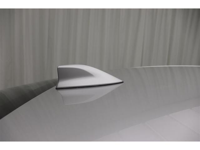 �y�h���t�B���A���e�i�z�X�|�[�e�B�ŃJ�b�R�C�C��