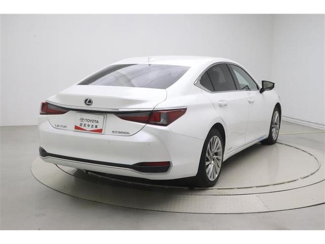 �y�ԗ������ؖ����z�g���^�F��ԗ��������ɂ�鐳�m�Ȍ����̏�A�N���}�̏�Ԃ�]���_�ƋL���ŕ�����₷���\�����Ă���܂��I