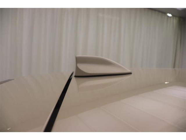 �y�h���t�B���A���e�i�z�X�|�[�e�B�ŃJ�b�R�C�C��