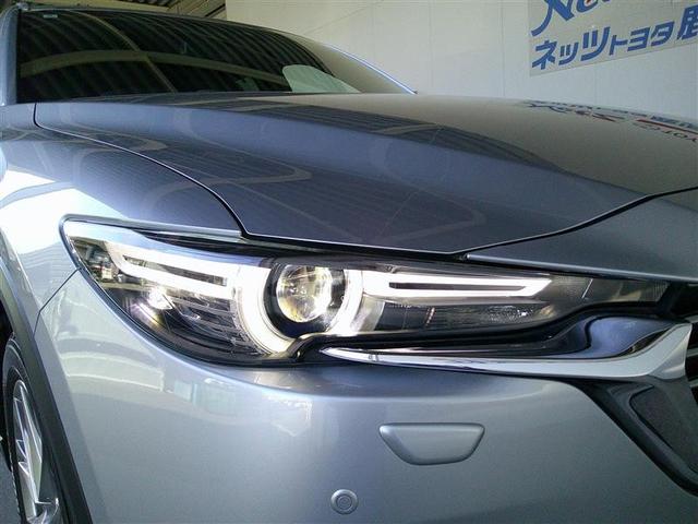 �X�^�C���b�V���Ȃk�d�c���C�g