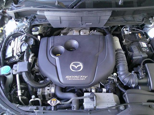 ���C�y�ɂ��₢���킹��������