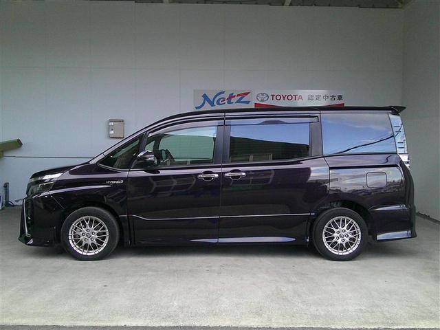 ���I�ŏ㎿�ȗ����������J���[