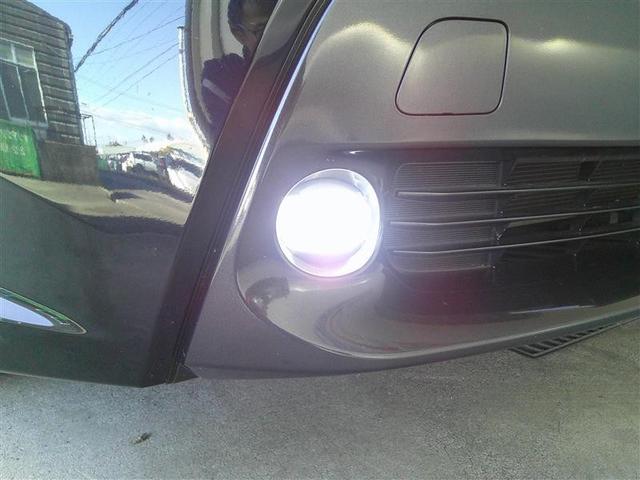 ���V�󎞂̎��E�m�ۂ����łȂ���̃h���C�u�����S���̃t�H�O�����v