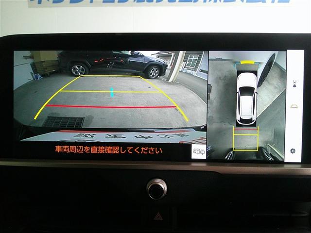 �ԗ����ォ�猩���悤�ȉf�����f�B�X�v���C�I�[�f�B�I��ʂɕ\������p�m���~�b�N�r���[���j�^�[