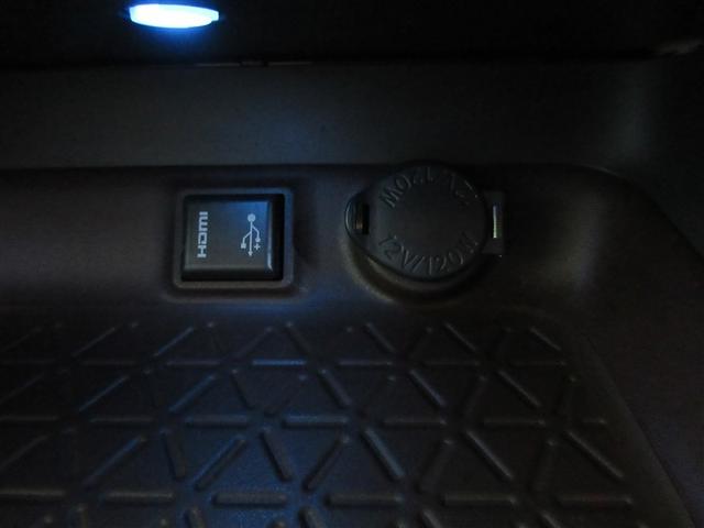 �ԓ��ł��D���ȃG���^���y���߂�g�c�l�h���t�r�a