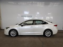 ǯԵΥ̵¤Υȥ西Ρԥ󥰥ݾڡդʤΤǰ¿Ƥĺޤ 2