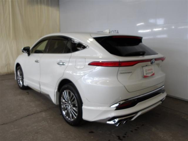 �_��������p���݂ł��􂺂Ђ�������������