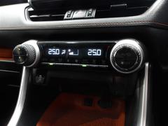 �ң��֣� ���ɥ٥���㡼����䥫��顡���ã������֡�����ߡ����롼���� 0840283A20260111T002 7