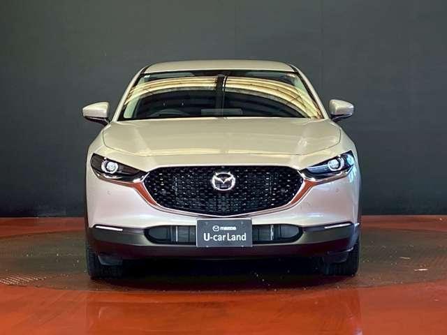 �y�k�d�c�w�b�h���C�g�z��Ԃ����邭�N���ɏƂ炵�܂��̂ŁA���S�������サ�܂��B