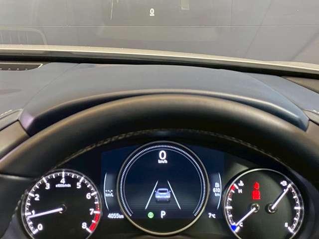 �y�A�N�e�B�u�E�h���C�r���O�E�f�B�X�v���C�z�t�����g�K���X�Ƀ��[�g��ԑ��Ȃǂ̏���\�����A�h���C�o�[�̎����ړ��ƁA�œ_�����́@���Ԃ�����ɒZ�k���鎖�ŁA�킫���̃��X�N��ጸ���@�܂��B