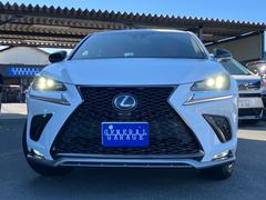 Σ Σأ衡ƥݡġ쥶ѥȡ롼աѥɥ륷ե 0840302A30251028W001 5