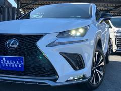 Σ Σأ衡ƥݡġ쥶ѥȡ롼աѥɥ륷ե 0840302A30251028W001 6