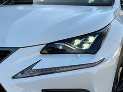 Σ Σأ衡ƥݡġ쥶ѥȡ롼աѥɥ륷ե 0840302A30251028W001 7