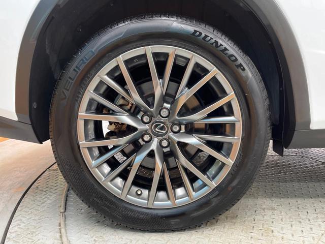 ＲＸ ＲＸ３００　Ｆスポーツ　禁煙車　１２．３インチナビ　バックカメラ　セーフティシステムプラス　レーダークルーズ　ブラインドスポット　赤革シート　ベンチレーション　ドライブモードセレクト　３眼ＬＥＤ　シーケンシャルターンランプ（65枚目）