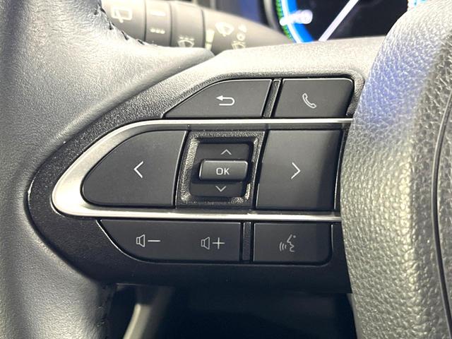 ヴォクシー ハイブリッドＳ－Ｚ　禁煙車　１０．５インチディスプレイオーディオプラス　アドバンストパーク　パノラミックビュー　両側パワースライドドア　シートヒーター　ハーフレザーシート　ＥＴＣ２．０　ドラレコ　レーダークルーズ（32枚目）