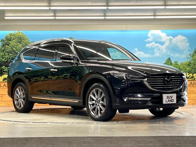 CX-8 XDプロアクティブ 7人乗り 純正ナビ 全周囲カメラ BOSEサウンドシステム アドバンスドスマートシティブレーキサポート レーダークルーズ 禁煙車 パワーバックドア シートヒーター パワーシート ルーフレール ETC(17枚目)