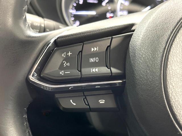 CX-8 XDプロアクティブ 7人乗り 純正ナビ 全周囲カメラ BOSEサウンドシステム アドバンスドスマートシティブレーキサポート レーダークルーズ 禁煙車 パワーバックドア シートヒーター パワーシート ルーフレール ETC(51枚目)