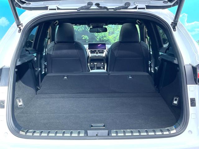 ＮＸ ＮＸ３００ｈ　Ｆスポーツ　ムーンルーフ　禁煙車　１０．３インチワイドナビ　バックカメラ　３眼ＬＥＤヘッド　シートベンチレーション　黒革スポーツシート　ドライブモードセレクト　パフォーマンスダンパー　ハンズフリーパワーバックドア（52枚目）