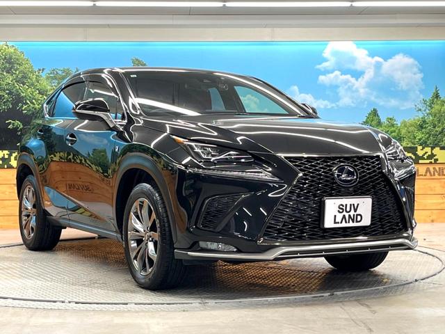 NX NX300h Fスポーツ プリクラッシュセーフティ 10.3インチ純正ナビ バックカメラ レーダークルーズ 禁煙車 電動リアゲート レザーシート 前席シートエアコン ドラレコ スマートキー LEDヘッド ETC2.0(16枚目)