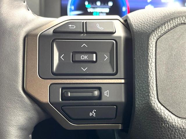 ランドクルーザー２５０ ＺＸファーストエディション　ムーンルーフ　丸目ＬＥＤ　１２．３インチナビ　アドバンストパーク　床下透過パノラミックビュー　ブラインドスポット　ＪＢＬサウンド　シートベンチレーション　デジタルインナーミラー　ステアリングヒーター（58枚目）