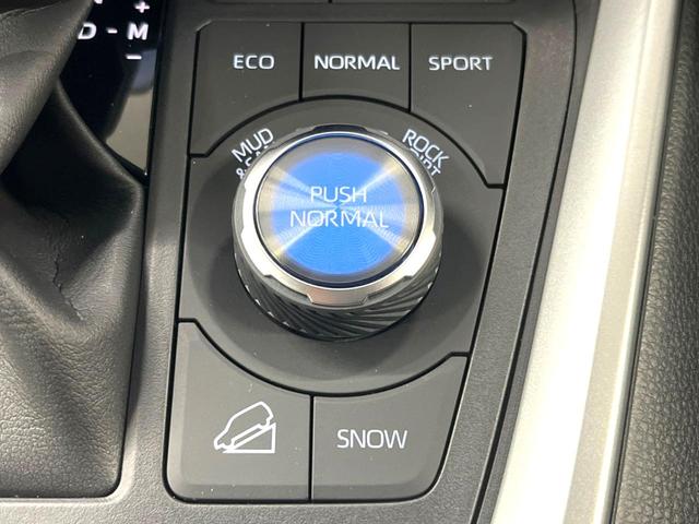 ＲＡＶ４ アドベンチャー　オフロードパッケージＩＩ　禁煙車　１０．５インチディスプレイオーディオ　パノラミックビュー　シートベンチレーション　デジタルインナーミラー　メモリー付パワーシート　ハンズフリーパワーバックドア　ブラインドスポットモニター（34枚目）