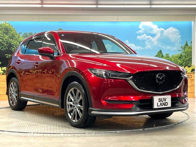 ＣＸ－５ ＸＤ　エクスクルーシブモード　純正７インチナビ　３６０°ビューモニター　ＢＯＳＥサウンド　ｉ－ＡＣＴＩＶＥＳＥＮＳＥ　レーダークルーズ　禁煙車　電動リアゲート　レザーシート　全席シートヒーター　前席シートエアコン　コーナーセンサー（16枚目）