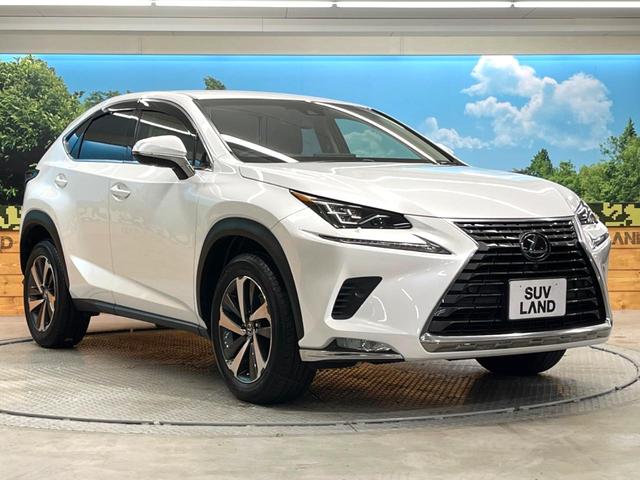 NX NX300 Iパッケージ パノラミックビューモニター セーフティシステムプラス レーダークルーズコントロール ブラインドスポットモニター シートヒーター 純正10.3インチSDナビ 角型三眼LEDヘッドライト(16枚目)