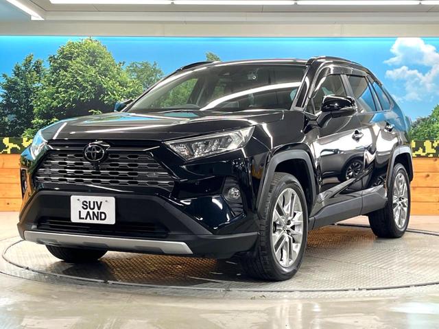 ＲＡＶ４ Ｇ　Ｚパッケージ　純正９インチディスプレイオーディオ　パノラマミックビューモニター　トヨタセーフティーセンス　レーダークルーズ　禁煙車　パワーバックドア　シートヒーター　パワーシート　スマートキー　ＬＥＤヘッド（25枚目）