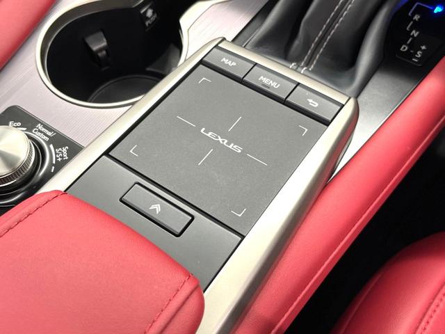 RX RX450h Fスポーツ サンルーフ フルエアロ 純正SDナビ バックカメラ 100V電源 プリクラッシュセーフティ レーダークルーズ 禁煙車 パワーバックドア レザーシート 全席シートヒーター ドライブレコーダー ETC(68枚目)
