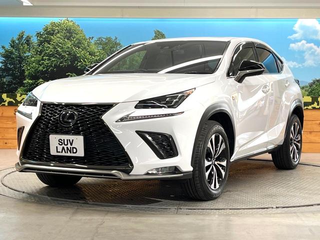 ＮＸ ＮＸ３００　Ｆスポーツ　エアロ　全周囲カメラ　衝突被害軽減システム　レーダークルーズ　禁煙車　電動リアゲート　レザーシート　前席シートエアコン　ドラレコ　コーナーセンサー　スマートキー　ＬＥＤヘッド　ＥＴＣ２．０（24枚目）