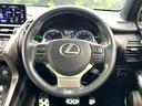 ＮＸ３００ｈ　Ｆスポーツ　ムーンルーフ　禁煙車　１０．３インチワイドナビ　バックカメラ　３眼ＬＥＤヘッド　シートベンチレーション　黒革スポーツシート　ドライブモードセレクト　パフォーマンスダンパー　ハンズフリーパワーバックドア（12枚目）
