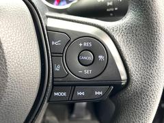 �ڥ졼�������롼������ȥ�����۹�®ƻϩ�Ǥ�Ĺ��Υ���Ԥ��ڤˡ�����ư��®�٤��ݤĥ��롼������ȥ����뤬�����ͷڸ������ƥ��Ϣ�Ȥ��������μ�ξ���Τ��Ƽִ֤��ݤĤ褦��®��Ĵ�ᤷ�Ƥ���ޤ����� 6