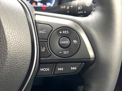 �ڥ졼�������롼������ȥ�����۹�®ƻϩ�Ǥ�Ĺ��Υ���Ԥ��ڤˡ�����ư��®�٤��ݤĥ��롼������ȥ����뤬�����ͷڸ������ƥ��Ϣ�Ȥ��������μ�ξ���Τ��Ƽִ֤��ݤĤ褦��®��Ĵ�ᤷ�Ƥ���ޤ����� 5