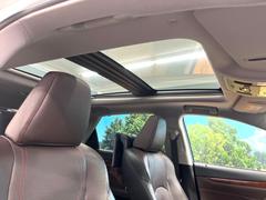 �ڥѥΥ�ޥ롼�ա��緿�Υ��饹�롼����ܤǼ���β��������쵤�˥��åס�����Ū�ʥɥ饤�֤򤪳ڤ��ߤ��������ޤ��� 6