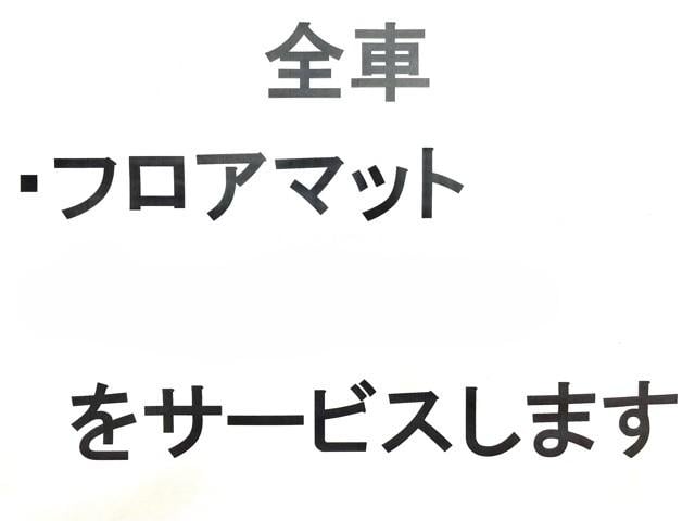 ルークス Ｘ　・純正ナビ・ＴＶ・ＣＤ／Ｂｌｕｅｔｏｏｔｈ・全方位カメラ・左電動（42枚目）