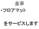 Ｘ　・純正ナビ・ＴＶ・ＣＤ／Ｂｌｕｅｔｏｏｔｈ・全方位カメラ・左電動（42枚目）