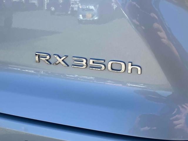 ＲＸ ＲＸ３５０ｈ　バージョンＬ　全周囲カメラ　クリアランスソナー　オートクルーズコントロール　レーンアシスト　パワーシート　パークアシスト　衝突被害軽減システム　サンルーフ　ナビ　ＴＶ　オートマチックハイビーム　オートライト（17枚目）