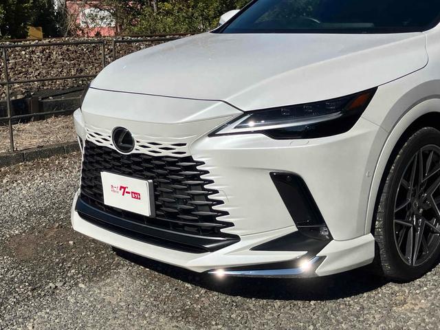 ＲＸ ＲＸ３５０ｈ　バージョンＬ　全周囲カメラ　クリアランスソナー　オートクルーズコントロール　レーンアシスト　パワーシート　パークアシスト　衝突被害軽減システム　サンルーフ　ナビ　ＴＶ　オートマチックハイビーム　オートライト（22枚目）