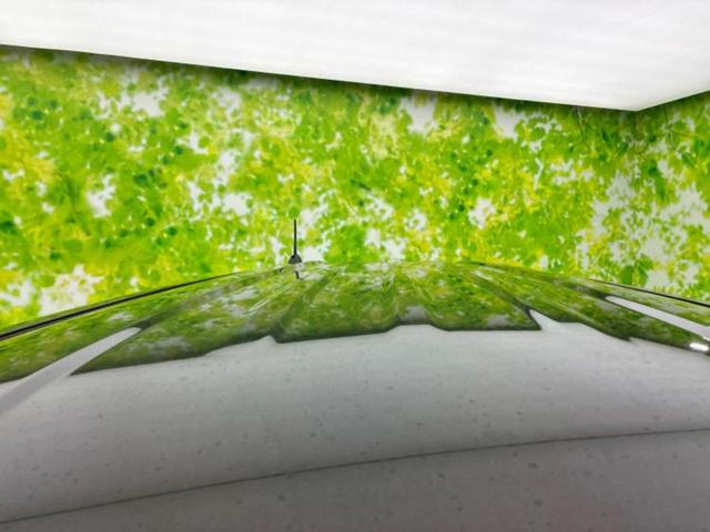 N-BOXカスタム G・Lホンダセンシング 純正 SDナビ/ホンダセンシング/電動スライドドア/車線逸脱防止支援システム/パーキングアシスト バックガイド/ヘッドランプ LED/USBジャック/Bluetooth接続/ETC バックカメラ(46枚目)