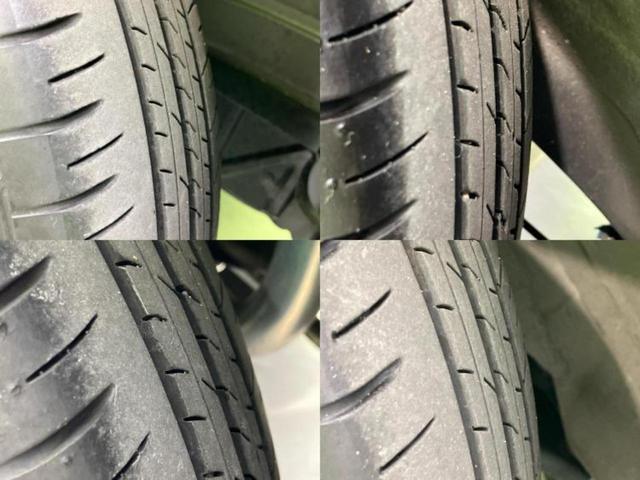 �u���̎Ԃ̎ʐ^�������ƌ������v�u��Ԃ��C�ɂȂ�v�u���̑����͂��Ă���H�v�ǂ�ȏ����ȋ^��ł����C�y�ɂ��₢���킹���������I