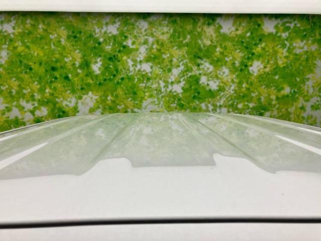 ワゴンＲ ＦＸ　保証書／セーフティサポート（スズキ）／シートヒーター　運転席／車線逸脱防止支援システム／ＥＢＤ付ＡＢＳ／横滑り防止装置／エアバッグ　運転席／エアバッグ　助手席／パワーウインドウ／エンジンスタートボタン（45枚目）