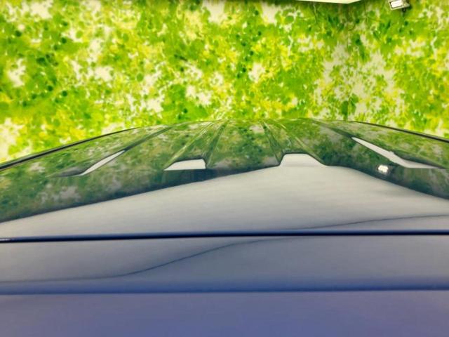 Ｎ－ＢＯＸカスタム ターボＳＳパッケージ　新品タイヤ／保証書／社外　ＳＤナビ／衝突安全装置／両側電動スライドドア／シートヒーター　前席／ドライブレコーダー　社外／ヘッドランプ　ＨＩＤ／Ｂｌｕｅｔｏｏｔｈ接続／ＥＴＣ／ＥＢＤ付ＡＢＳ　ドラレコ（37枚目）