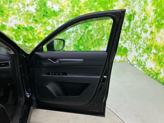 �u���̎Ԃ̎ʐ^�������ƌ������v�u��Ԃ��C�ɂȂ�v�u���̑����͂��Ă���H�v�ǂ�ȏ����ȋ^��ł����C�y�ɂ��₢���킹���������I