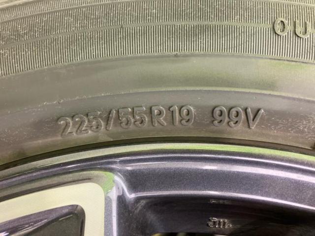 �u���̎Ԃ̎ʐ^�������ƌ������v�u��Ԃ��C�ɂȂ�v�u���̑����͂��Ă���H�v�ǂ�ȏ����ȋ^��ł����C�y�ɂ��₢���킹���������I