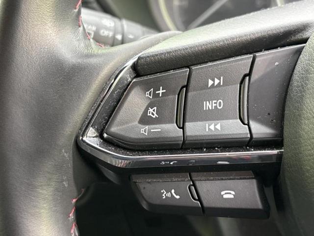 ＣＸ－８ ＸＤブラックトーンエディション　保証書／純正　ＳＤナビ／衝突安全装置／シートヒーター／全方位モニター／車線逸脱防止支援システム／シート　ハーフレザー／ヘッドランプ　ＬＥＤ／Ｂｌｕｅｔｏｏｔｈ接続／ＥＴＣ／ＥＢＤ付ＡＢＳ　全周囲カメラ（32枚目）