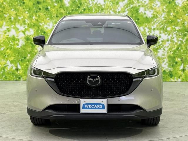 ＣＸ－８ ＸＤブラックトーンエディション　保証書／純正　ＳＤナビ／衝突安全装置／シートヒーター／全方位モニター／車線逸脱防止支援システム／シート　ハーフレザー／ヘッドランプ　ＬＥＤ／Ｂｌｕｅｔｏｏｔｈ接続／ＥＴＣ／ＥＢＤ付ＡＢＳ　全周囲カメラ（48枚目）