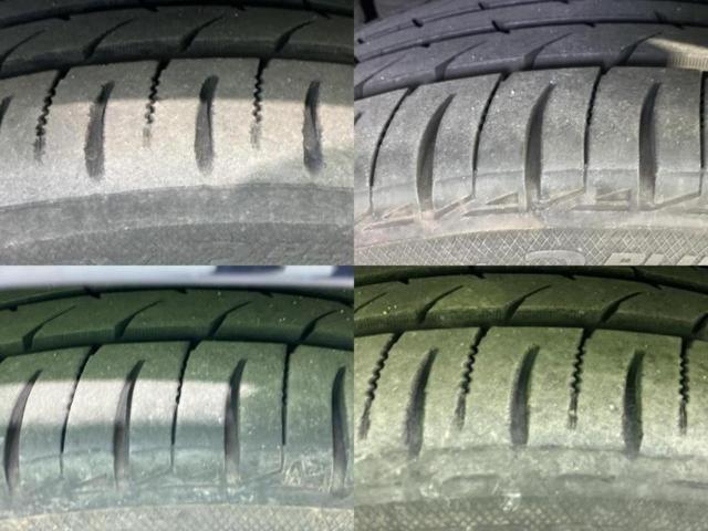 �u���̎Ԃ̎ʐ^�������ƌ������v�u��Ԃ��C�ɂȂ�v�u���̑����͂��Ă���H�v�ǂ�ȏ����ȋ^��ł����C�y�ɂ��₢���킹���������I