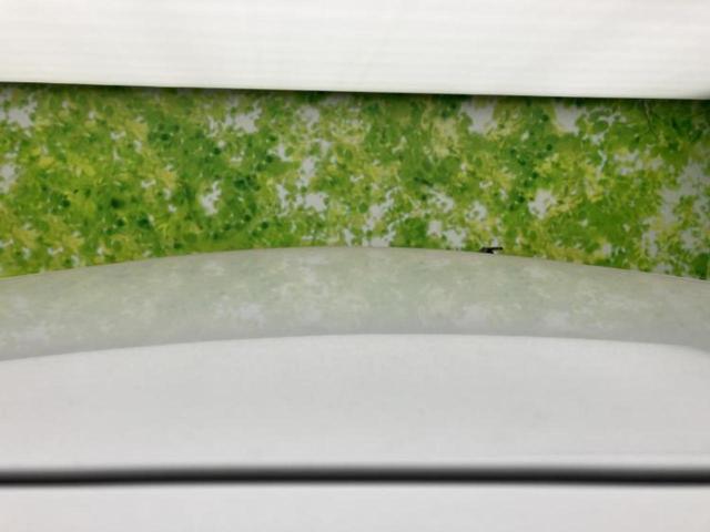 �v�d�b�`�q�r�̍݌Ƀy�[�W�����������������ɂ��肪�Ƃ��������܂��I�v�d�b�`�q�r�́u���q�l���v�����b�g�[�ɂ��q�l�̃J�[���C�t��S�͂ŃT�|�[�g�������܂��I